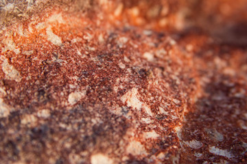 red spotted rock background for text