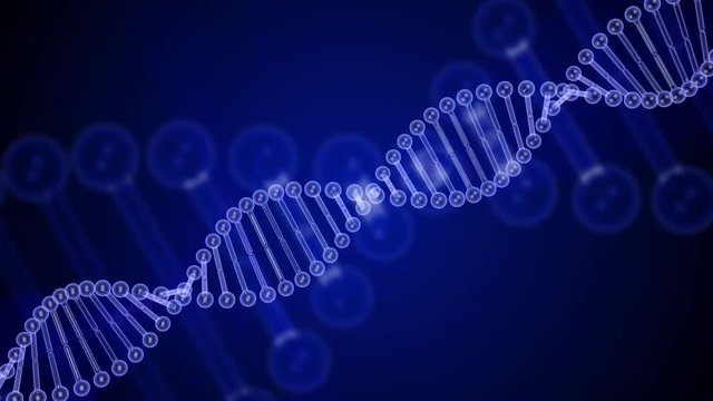 Rotating DNA glowing molecule on blue background. 3D rendered loopable animation. Genetics concept. 4K footage