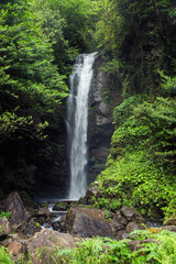 The Holy waterfall Abkhazia