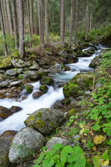 Obraz premium Mountain river and trees landscape. Kaunertaler Gletscher natural environment. Hiking in the alps, Kaunertal, Tirol, Austria, Europe.