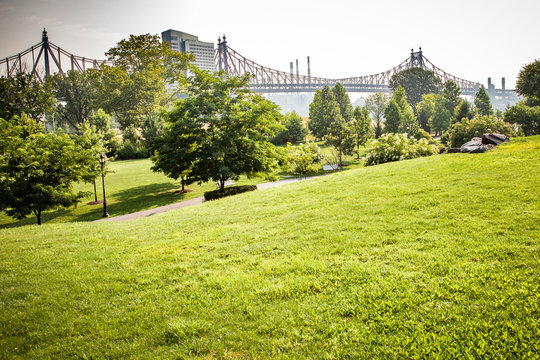 Beautiful Roosevelt Island park with Manhattan, New York City and Queensboro bridge in background during sunny summer day