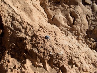 beautiful desert landscape of Todra Gorge in high atlas in morocco