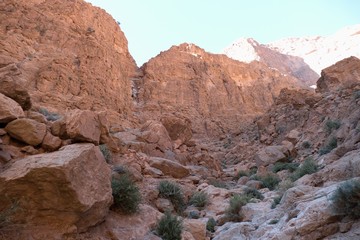Fototapeta na wymiar beautiful desert landscape of Todra Gorge in high atlas in morocco