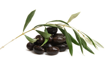 olives isolated