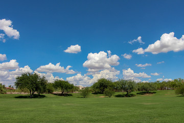 Fototapeta na wymiar Sonoran Hills Park in North Scottsdale