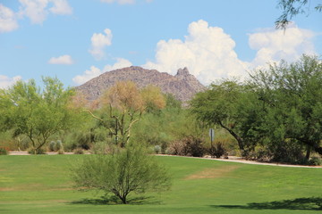 Sonoran Hills Park view of Troon Scottsdale