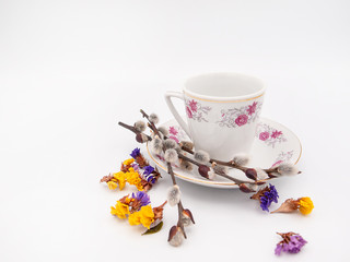 Beautifully ornamented porcelain espresso cup in a plate together with a few willow twigs and some scattered limonium flowers isolated on a white background