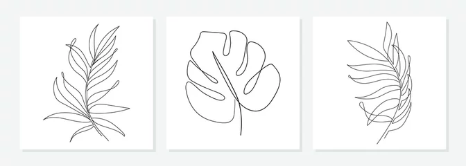 Eine Linie, die Vektor-Monstera-Blätter und Palmenblätter zeichnet. Moderne einzeilige Kunst, ästhetische Kontur. Perfekt für Wohnkultur wie Poster, Wandkunst, Einkaufstaschen oder T-Shirt-Druck, Aufkleber, Handyhülle © Dasha D