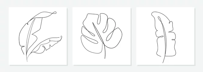 Eine Linie, die Vektor-Monstera-Blätter und Bananenbaumblätter zeichnet. Moderne einzeilige Kunst, ästhetische Kontur. Perfekt für Wohnkultur wie Poster, Wandkunst, Tragetasche, T-Shirt-Druck, Aufkleber, Handyhülle © Dasha D
