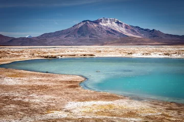 Foto op Canvas Beautiful landscape of the hot springs Polloquere, in to Salt Surire, Isluga Volcano National Park located more than 4000 meters, Chile © jarcosa