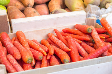 organic baby carrots at the weekend farmer market in Paris