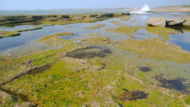 Establishing, introductory, low to high pan of the famous Nagaon beach in Diu, Gujarat, India