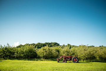 Tractor in Orchard