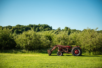 Closeup of Tractor in Orchard