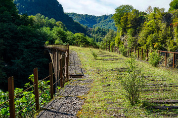 Abandoned arch railway bridge across the river. Aqueduct. Tkurchal. Tkvarchelli. Eastern Abkhazia.