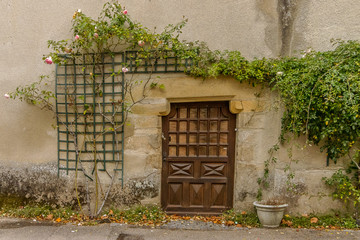 wooden door with plant in Rochefort-en-Terre, Brittany