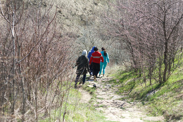 Tourists walk outdoors in the forest