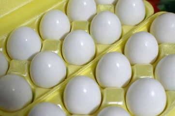 White chicken eggs in a cardboard package, background, texture