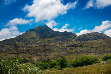 Fototapeta premium Landscape 18