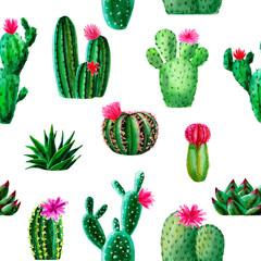 Pattern of watercolor exotic cactus, succulent, isolated illustration on white background. hand drawn watercolor elements, botanical collection. Design for textile, fabric, print, wrapping, paper. © Anastasia