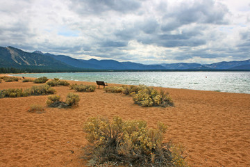 Obraz premium Empty beach on Lake Tahoe, California