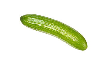 Bright green cucumber