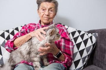 very old senior Caucasian grandmother with gray hair and deep wrinkles is sitting at home on the couch in jeans and a red checkered shirt with a gray fluffy shaggy cat in her arms. Pensioner and pet