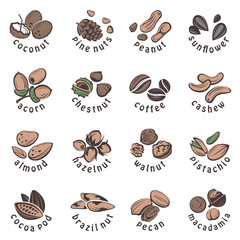 Fototapeta na wymiar collection of nuts and seeds icons