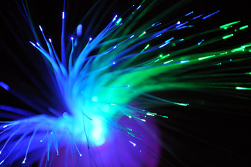 Colorful light fiber glowing in the dark