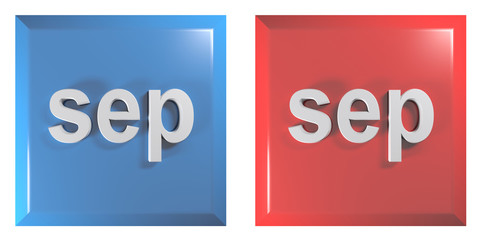 Blue and red couple of square push buttons SEPTEMBER - 3D rendering illustration