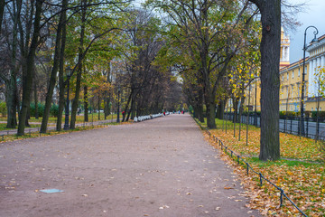 Fototapeta na wymiar autumn landscape in the Park of St. Petersburg