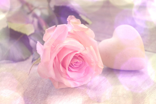 Einzelne Rose mit Herz, Bokeh, romantisch