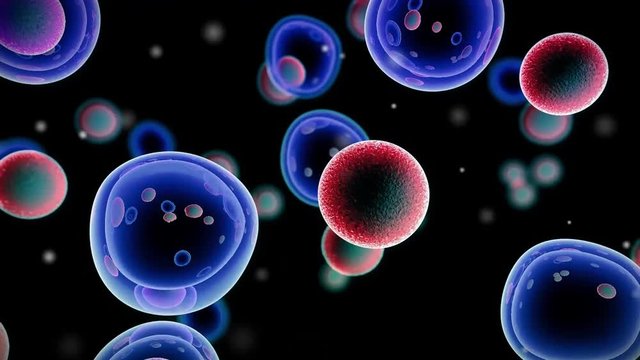 Embryonic stem cells , Cellular therapy , Regeneration , Disease treatment