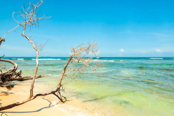 The Waterside of a One of Small, Sandy Islands on the Caribbean Sea at the Venezuelan Coast with Coral Reef, Close to town Chichiriviche, Morrocoy National Park