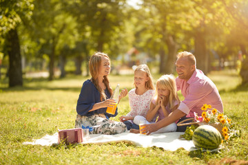 Happy family with smiles picnic in the park on a sunny day - obrazy, fototapety, plakaty