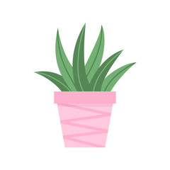 Cute cactus in pink plant pot vector illustration. Isolated agave succulent, web or print icon.