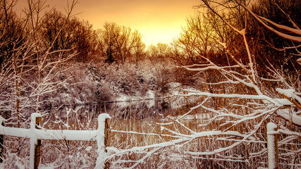 Snowy Winter Country Sunrise 