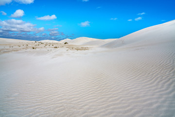 Fototapeta na wymiar white lancelin sand dunes, western australia 23