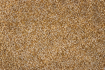 Quinoa seeds as background, studio isolated on white