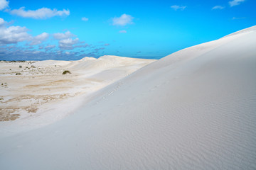 white lancelin sand dunes, western australia 25