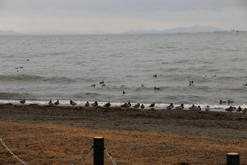 琵琶湖のほとり