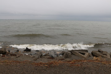琵琶湖のほとり