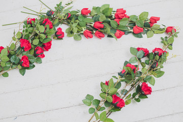 red roses on white wooden background