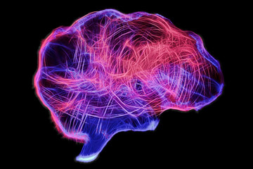 Representation of human brain by light painting technique