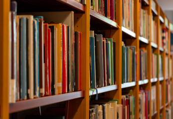 shelves with books in library in stockholm