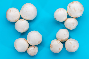 group of button mushrooms on background