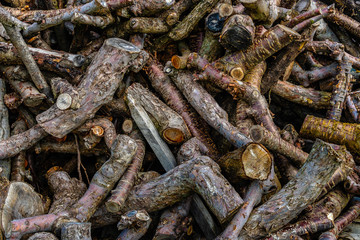 Pile of wood, tree branch or log,