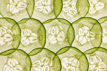 very thin slices of fresh cucumber on white background