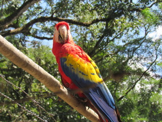 Ruinas de Copan, Honduras