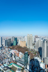 Obraz premium 東京風景